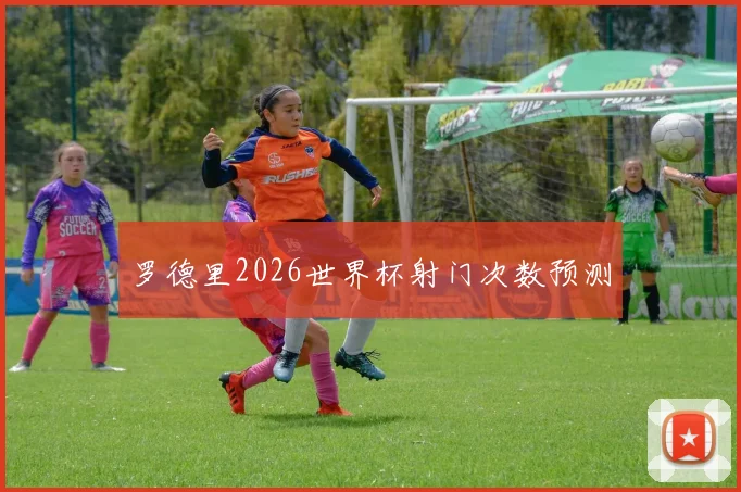 罗德里2026世界杯射门次数预测
