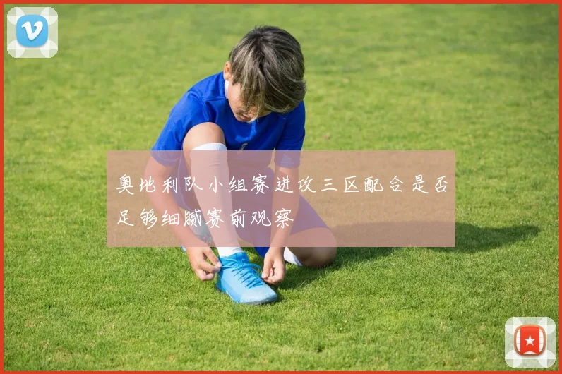 奥地利队小组赛进攻三区配合是否足够细腻赛前观察