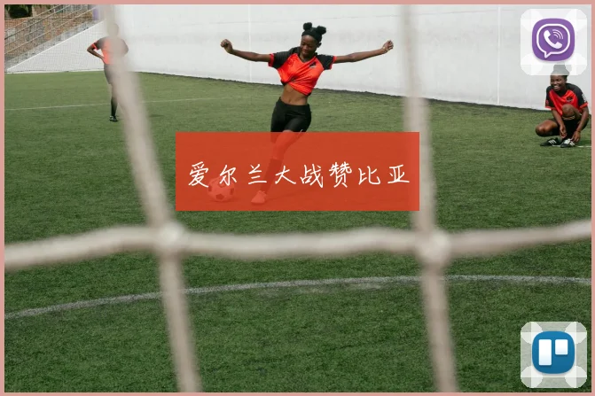 爱尔兰大战赞比亚