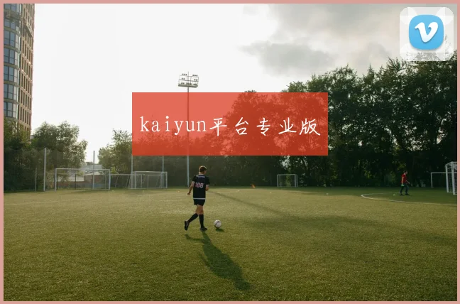 kaiyun平台专业版