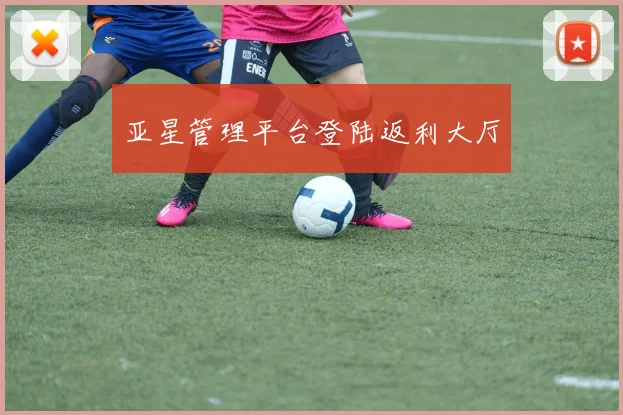 亚星管理平台登陆返利大厅