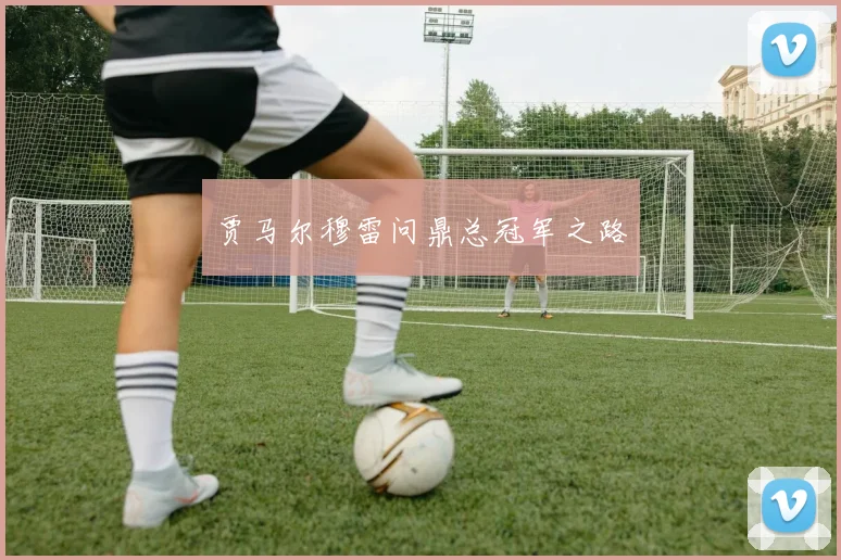 贾马尔穆雷问鼎总冠军之路