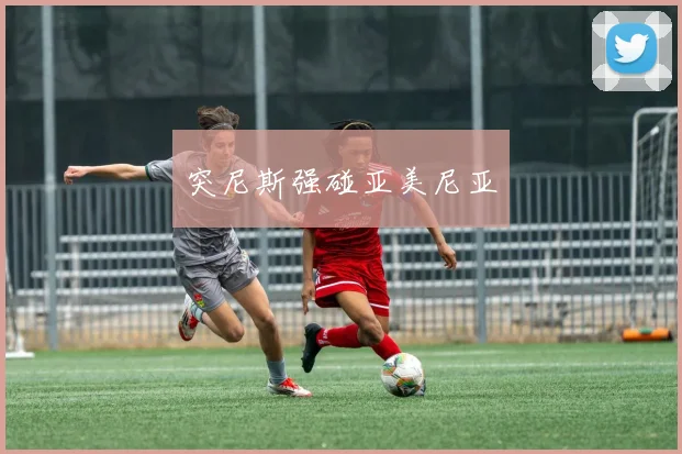突尼斯强碰亚美尼亚