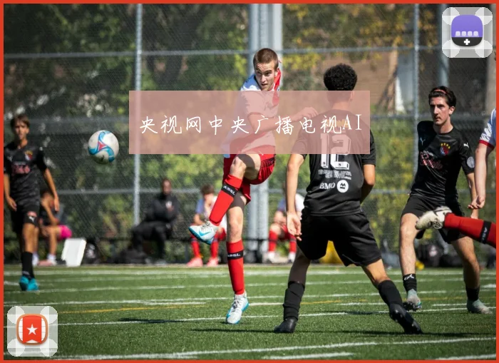 央视网中央广播电视AI