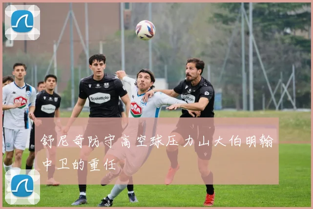 舒尼奇防守高空球压力山大伯明翰中卫的重任