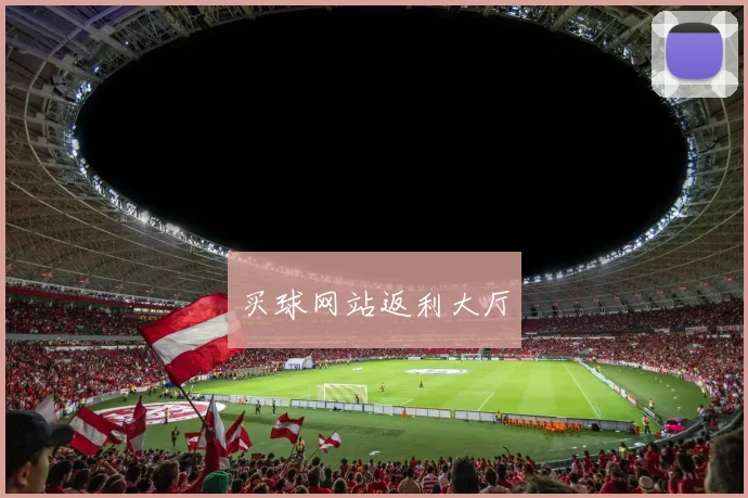买球网站返利大厅