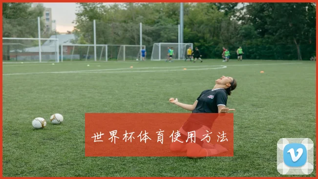 世界杯体育使用方法