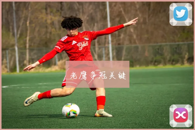 老鹰争冠关键