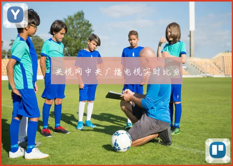 央视网中央广播电视实时比分