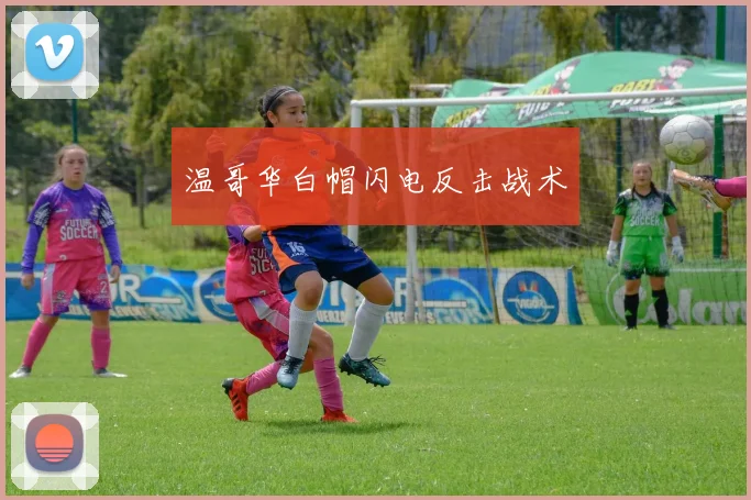 温哥华白帽闪电反击战术