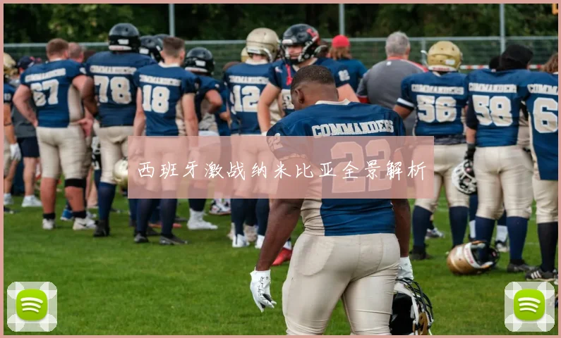 西班牙激战纳米比亚全景解析