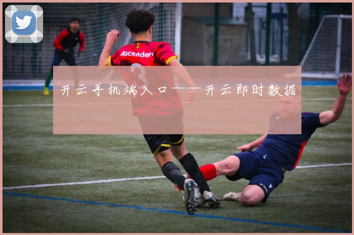 开云手机端入口——开云即时数据