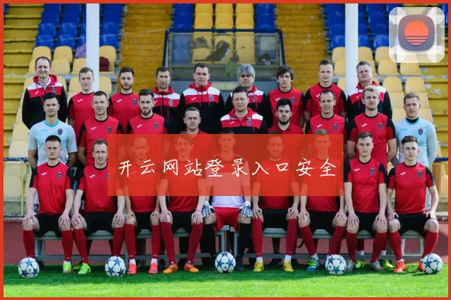 开云网站登录入口安全