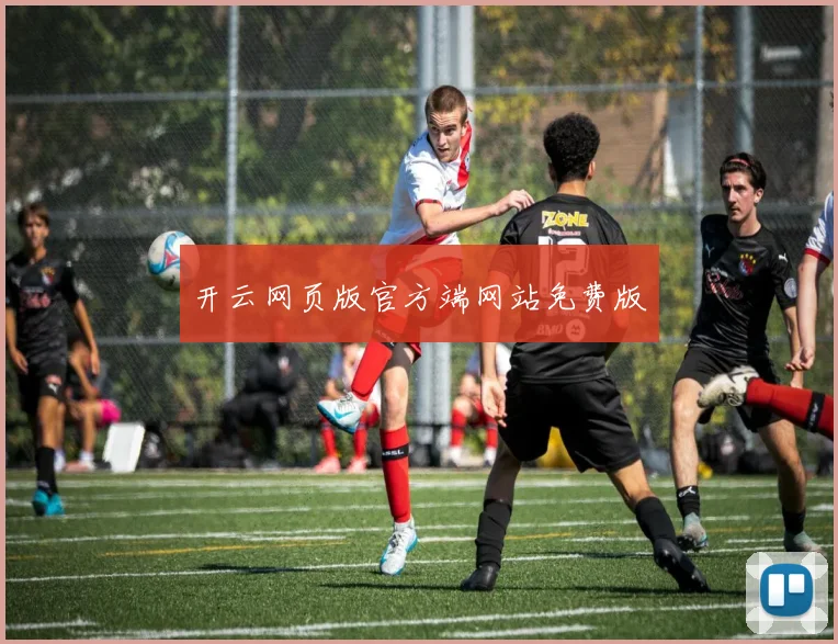 开云网页版官方端网站免费版
