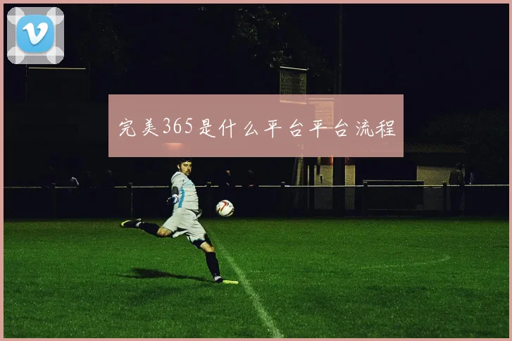 完美365是什么平台平台流程