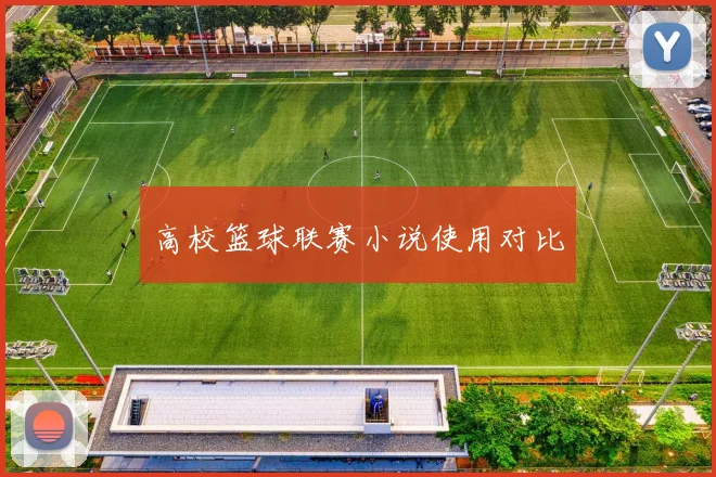 高校篮球联赛小说使用对比