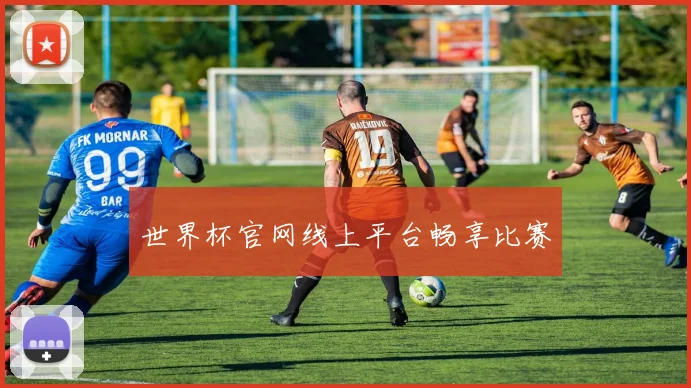 世界杯官网线上平台畅享比赛