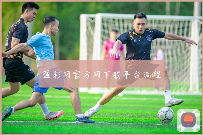 盈彩网官方网下载平台流程