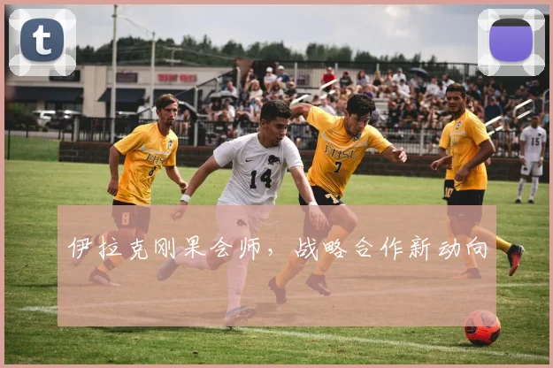 伊拉克刚果会师，战略合作新动向
