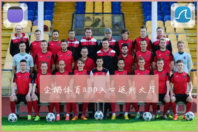 企鹅体育app入口返利大厅