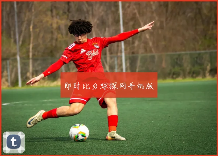 即时比分球探网手机版