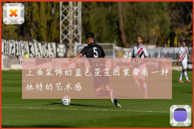 上面装饰的蓝色星星图案带有一种独特的艺术感