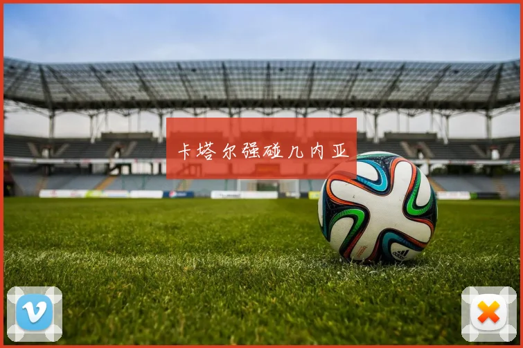 卡塔尔强碰几内亚
