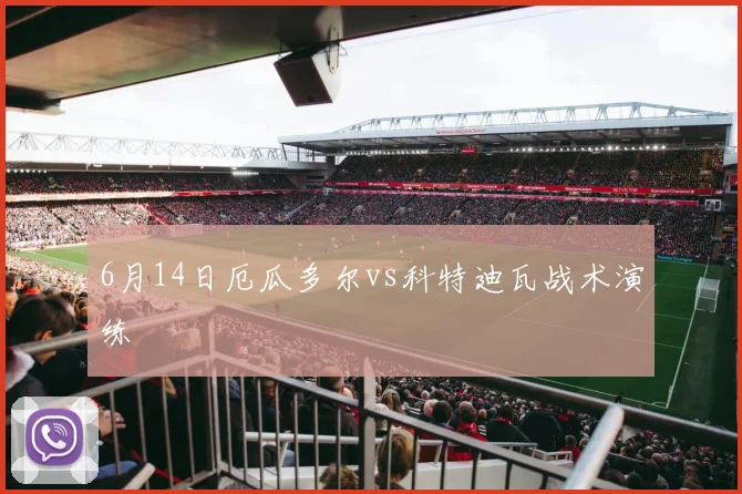 6月14日厄瓜多尔vs科特迪瓦战术演练