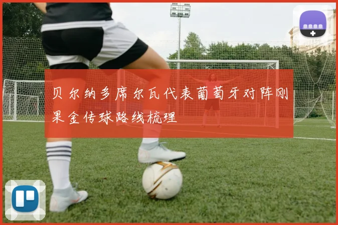 贝尔纳多席尔瓦代表葡萄牙对阵刚果金传球路线梳理