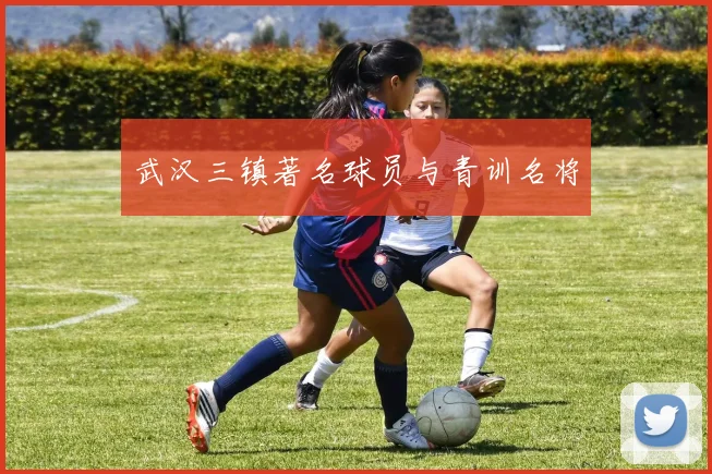 武汉三镇著名球员与青训名将