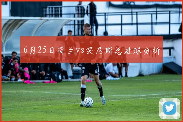 6月25日荷兰vs突尼斯总进球分析