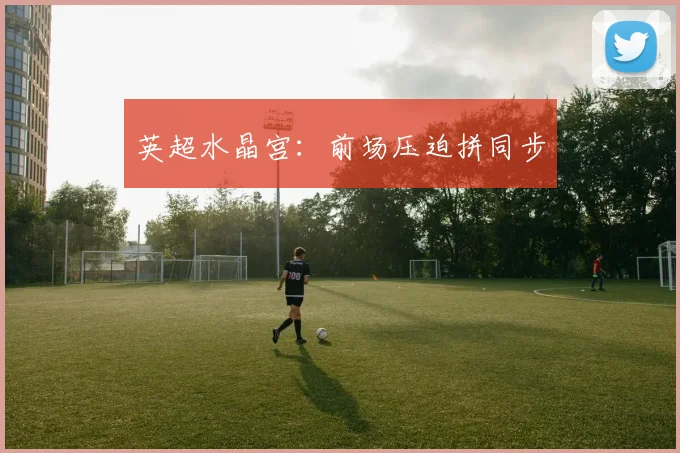 英超水晶宫:前场压迫拼同步